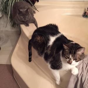 Meet your Posher, Lori